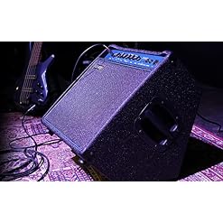Laney Richter Series RB3 – Ampli Combo Guitare Basse – 65W – Woofer 12 Pouces Plus Pavillon - Les Beatles, Paul McCartney, John Lennon, RIngo Starr, George Harrison Laney Richter Series RB3 - Ampli Combo Guitare Basse - 65W - Woofer 12 Pouces Plus Pavillon – Image 5
