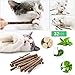 OSDUE 32 Stück Katzenminze Sticks, Matatabi-Kausticks, Katzenminze Spielzeug Katzen Kauhölzer Sticks für Katzen Zahnpflege & Gegen Mundgeruch Natürlich Sicher Katzensticks Kausticks Set