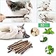 OSDUE 32 Stück Katzenminze Sticks, Matatabi-Kausticks, Katzenminze Spielzeug Katzen Kauhölzer Sticks für Katzen Zahnpflege & Gegen Mundgeruch Natürlich Sicher Katzensticks Kausticks Set