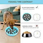 Slow Feeder Dog Bowls 3 in 1 Stainless Steel Food and Water Bowls with Non-Spill and Skid Silicone Mat to Slow Down Eating for Large Medium Small Breed Size Dogs and Cats - Image 2