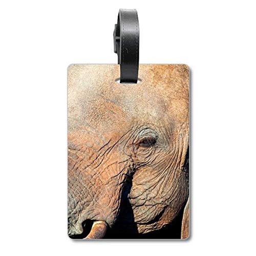 Étiquette de sac de croisière éléphant sauvage : trouvez votre valise en un clin d'œil