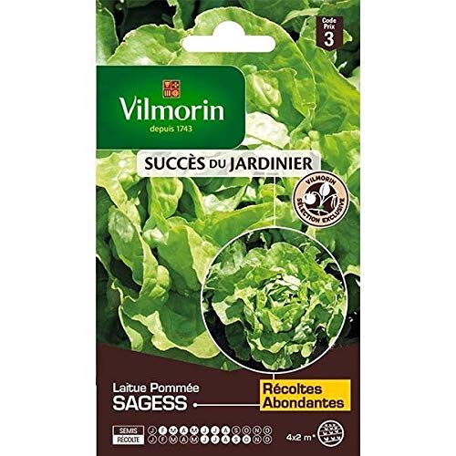 Portal Cool Borsa lattuga Semi Sagess Iceberg