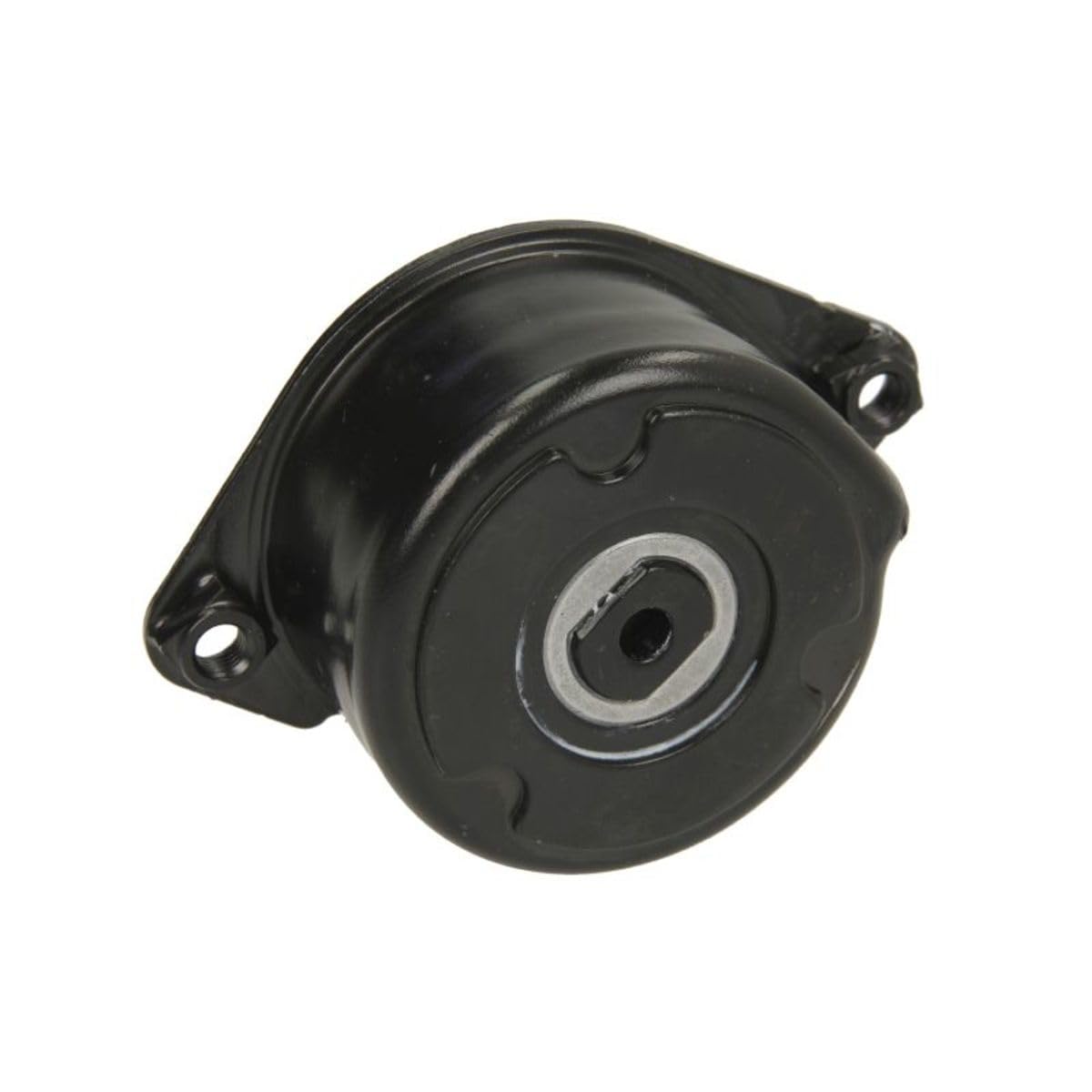 Ina 534 0171 10 - Tendicinghia, Cinghia Poly-V-image