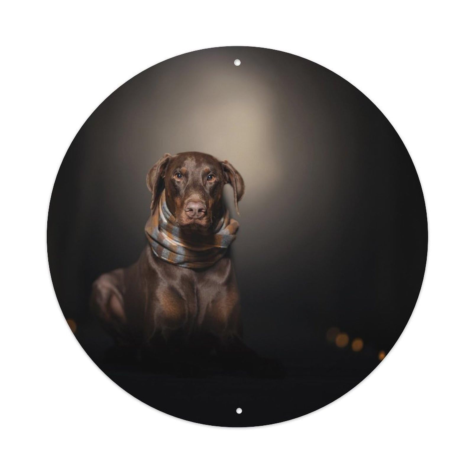 Cwbufd Vintage Style Hunting Dog German Shorthaired Pointer Vintage Scarf Warm Lights Dark Background Vintage Metal Tin Sign Plaque Wall Decor For Cafe, Club Bar, Office, Garden Metal Poster 8X8inch
