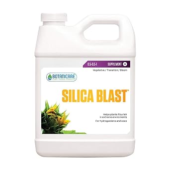 Silica Blast 1 Quart