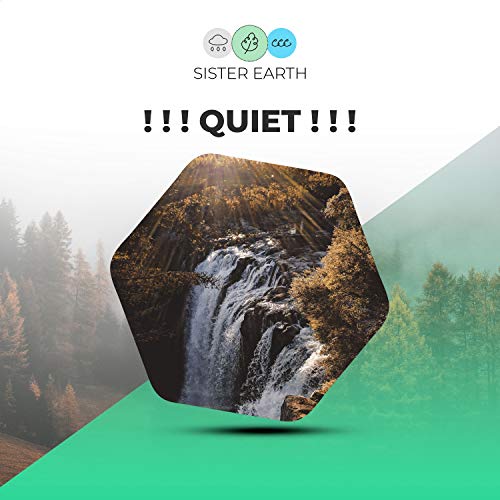 ! ! ! Quiet ! ! ! Rainforest Sounds Digital Music