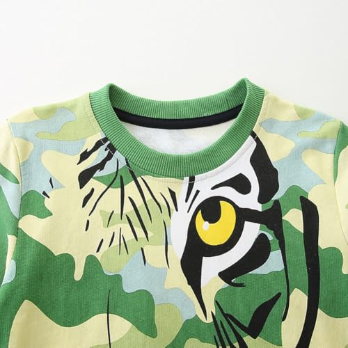 Boys Sweatshirts Casual Sweatshirts Cotton Sweatshirts Long Sleeve T-shirts Crew Neck Cartoon Tops for Boys-2533