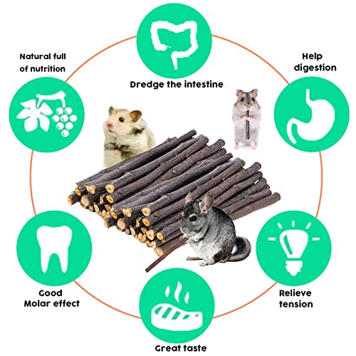 Vczone Natural Apple Stick Set, Small Animals Chew Toys For Guinea Pig Rabbits Hamster Chinchilla Squirrel Bunny, Apple Wood Stick Toys Teeth Grinding #TOP2