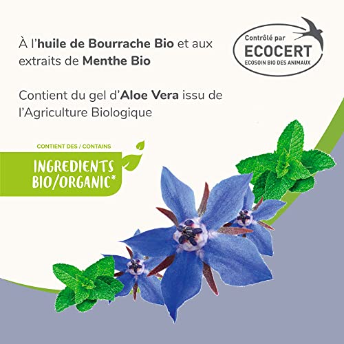 BEAPHAR Ecocert-Entfilzungsspray für Hunde und Katzen – enthält Aloe Vera, Borrecken- und Bio-Minzöl – pH-neutral – ohne Parabene/Silikon/Farben/Alkohol – 200 ml