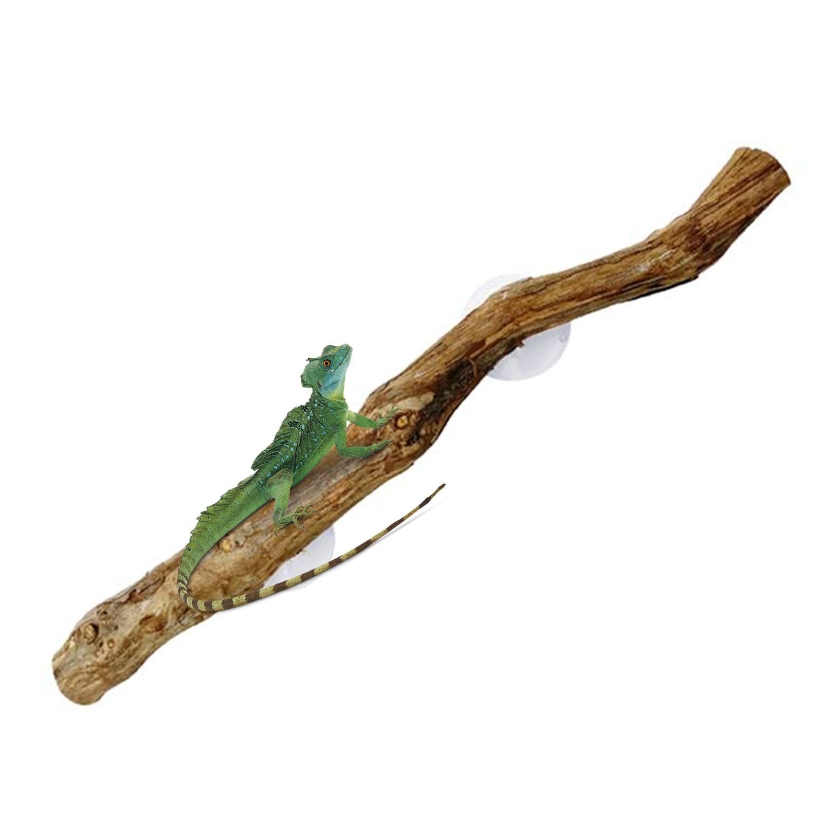 Wooden Reptile Climbing Branch Tree Trunk Ornament for Habitat Tank Decor