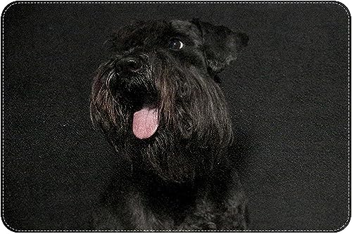 �V���i�E�U�[ ���փ}�b�g ���O ���� ���� �h�A�}�b�g ������� ����~�� �􂦂� ���� �z�� �ې� �o�X�}�b�g �ӂ�ӂ� �h�A�}�b�g �D���Ƃ��}�b�g ���� �䏊 �Ɩ��p �ƒ�p 40×60cm