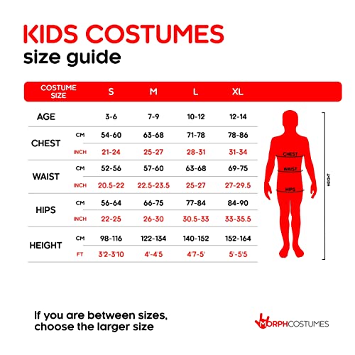 Fun Shack FNK3604L-US Girls English Nanny Costume Blue Colonial Kids Halloween Costumes Large thumb #4