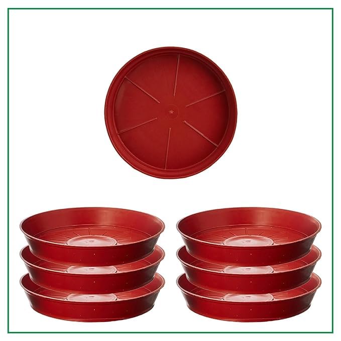 EaglesFords Plant Saucer Heavy Duty Plastic Plant Water Tray, Planter Drip Trays for Pot, Flower Saucers for Indoors (8 INCH, Set of 6 PCS) (B0D5GSZTYP) Amazon Price History, Amazon Price Tracker