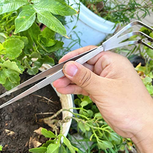 Pinzas para bonsái de acero inoxidable GANAZONO 8.26 in miniatura 4