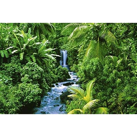 (24x36) Rainforest (Waterfall) Art Poster Print Cover