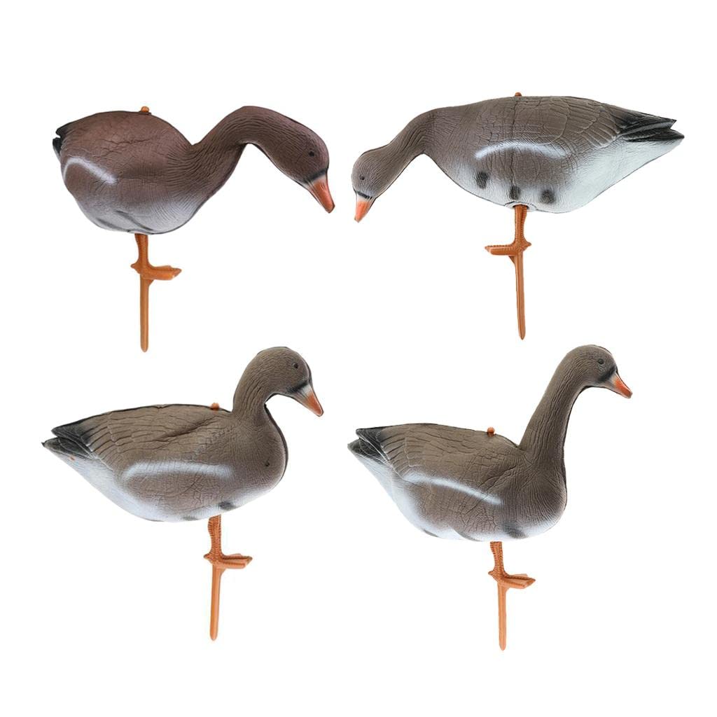 Set De 4 Señuelos De Ganso Realistas para Caza | cuerpo de espuma, resistente sol y humedad, incluye estaca, uso en campo o estanque