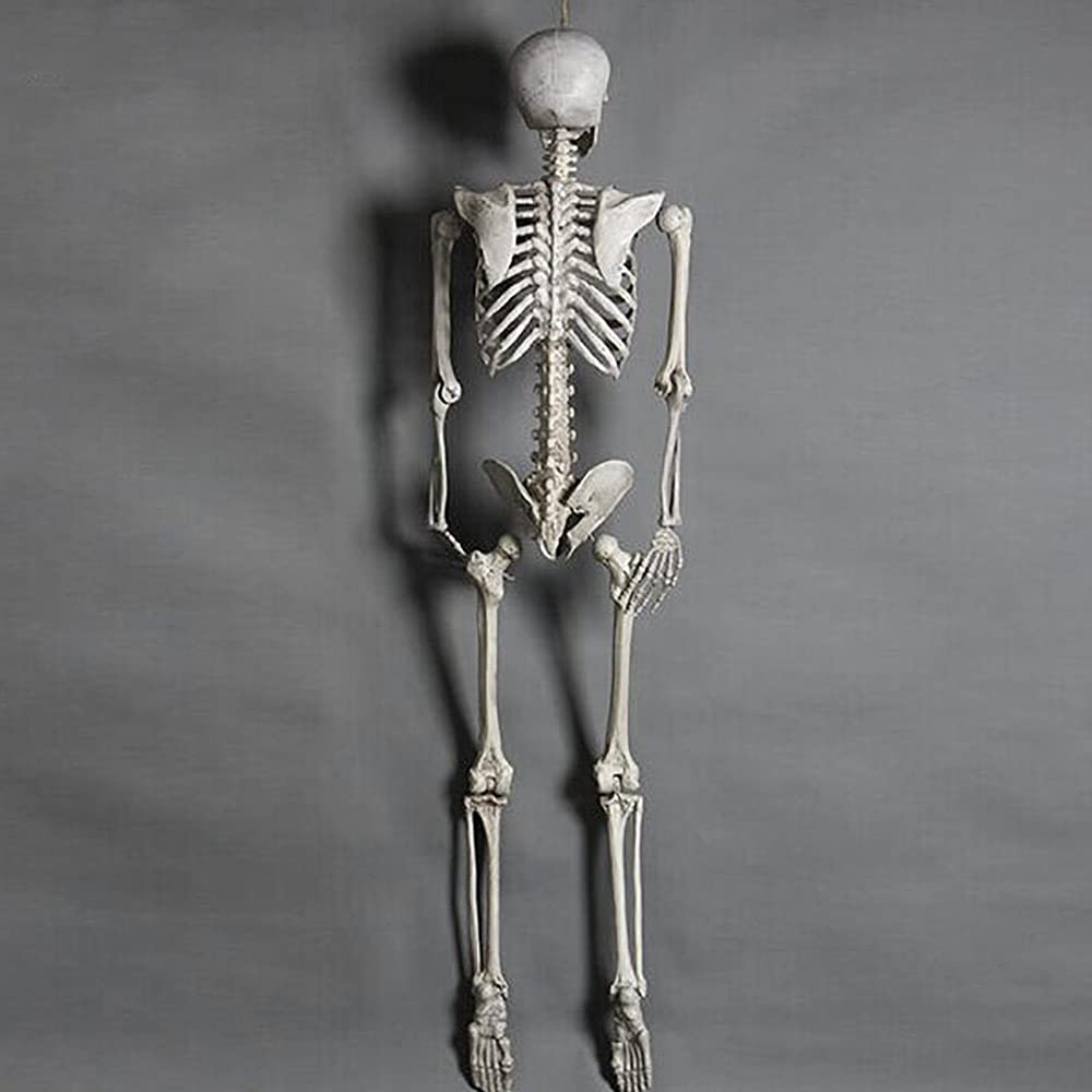 Amazon | ハロウィン 骸骨 ガイコツ 骨 等身大 置物 約165cm ホラー