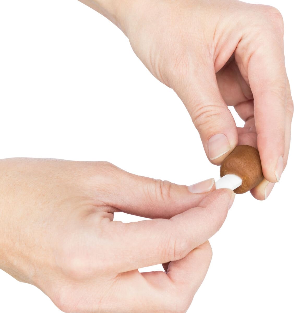Trixie Hondensnacks - Verstopplaats voor tabletten - Smart for Pets