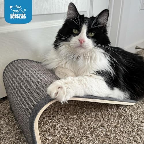 Best Pet Supplies Catify Cat Scratcher, Fun — bottom and base construction detail