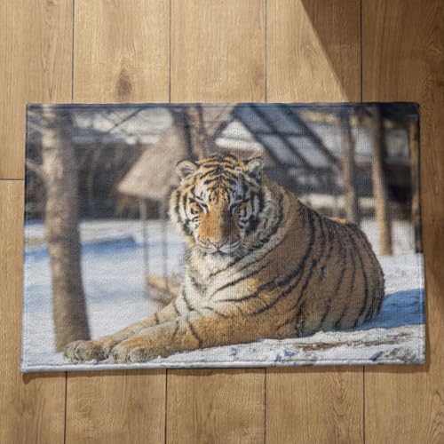 Alfombrillas de Baño Originales Marca CEVAN