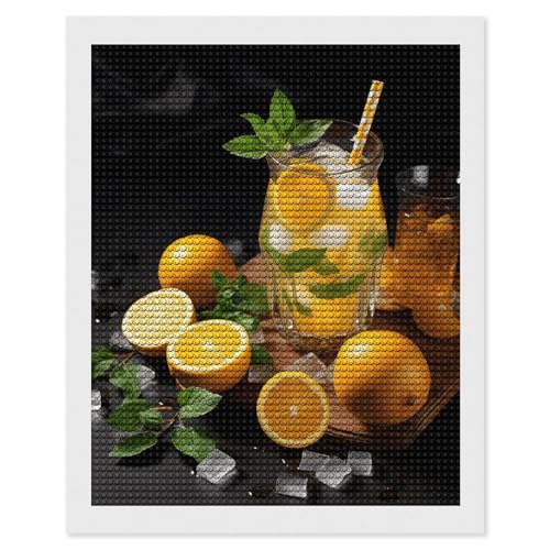 Peinture diamant 5D PNOMEDPKJ kit créatif adulte à offrir pour passionné DIY
