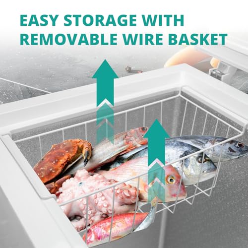 Walk-in freezer cold storage large