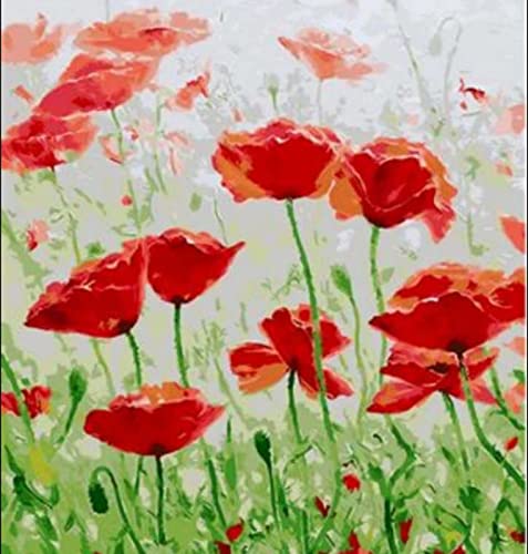 Peinture au diamant 5D plante verte et carthame kit complet 30x40 cm