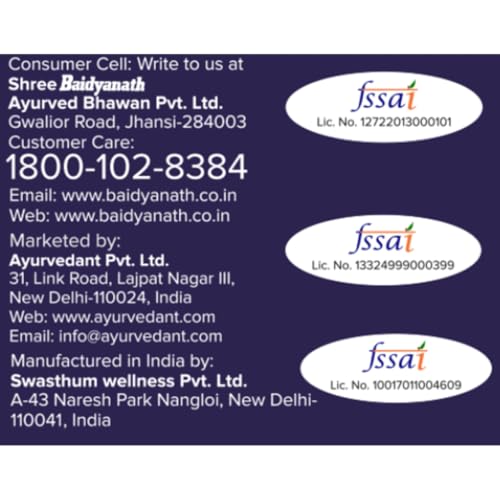 Image of Ayurvedant Blueberry Protein Bar, 6.7g High Protein, No Added Sugar, Energy Snack for Gym & Fitness, 20g