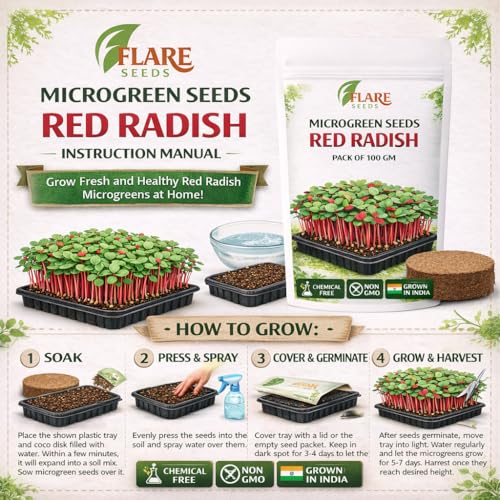 Image of Red Radish Microgreen Seeds, Chemical-Free, Non-GMO, 100 GM Pack with Free One Coco Disk, Grown in India, 7-10 Days Growing Period