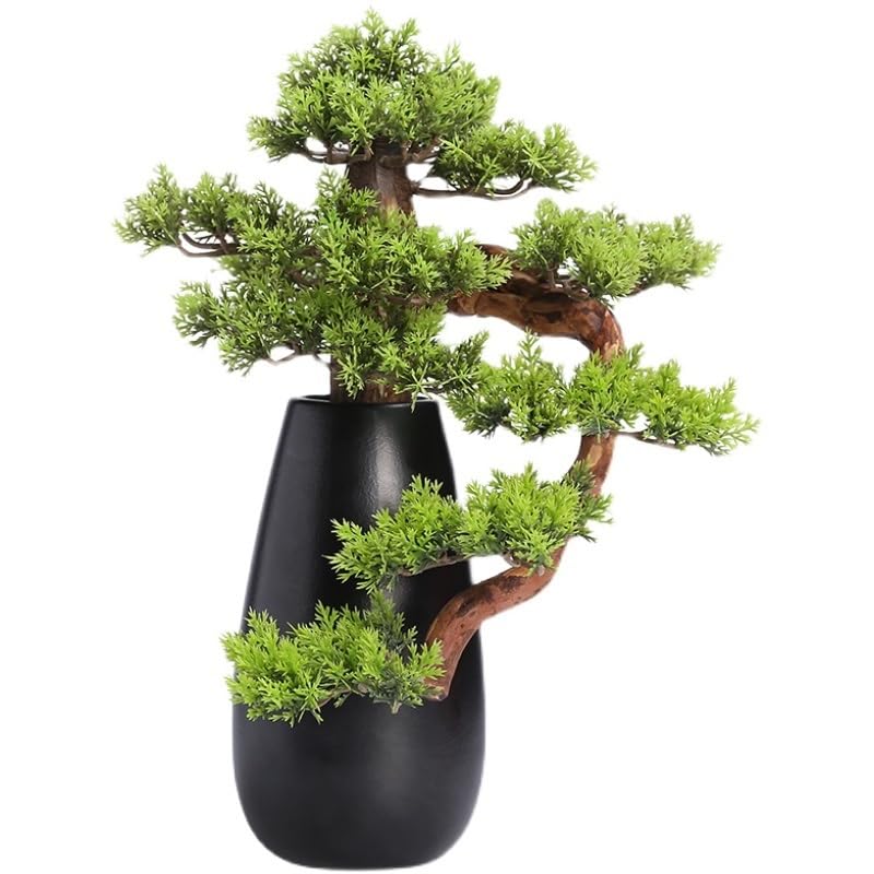 Simulation d'arbre pour coin sombre : le bonsaï artificiel sans aucun entretien