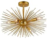 Decomust® 20" X 14" Inch Astra Sputnik Light Satellite Ceiling Light Fixture, Flush Mount Light, Bra