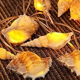 Starryfill Ocean Real Conch 10 LED String Lights 9.0Ft Waterproof Battery Operated Warm White with T