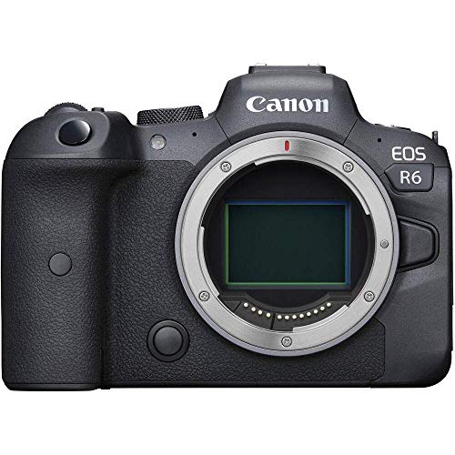 Canon Eos R6 Mirrorless Digital Camera (Body Only) 4082C002 + 2 X 64Gb Memory Card + Case + Corel Software + 3 X Lpe6 Battery + External Charger + Card Reader + Led Light + Hdmi Cable + More (Renewed) #TOP1