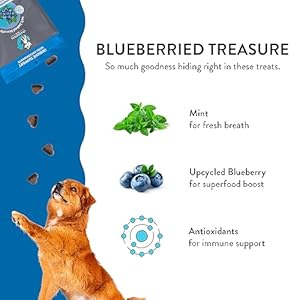 Shameless-Pets-Soft-Baked-Dog-Treats-Blueberried-Treasure-Natural-Healthy-Dog-Chews-with-Mint-for-Immune-Support-Dog-Biscuits-Baked-Made-in-USA-Free-from-Grain-Corn-Soy-1-Pack - Cucciolini Doodles   Shameless-Pets-Soft-Baked-Dog-Treats-Blueberried-Treasure-Natural-Healthy-Dog-Chews-with-Mint-for-Immune-Support-Dog-Biscuits-Baked-Made-in-USA-Free-from-Grain-Corn-Soy-1-Pack