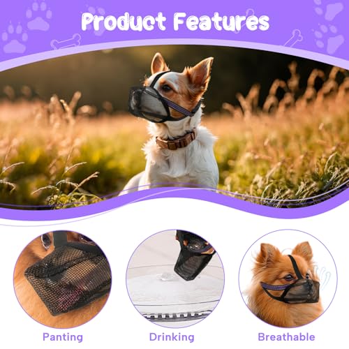Maulkorb für Hunde Weicher Netzmaulkorb Atmungsaktiver Mesh für Kleine Hunde Reflektierende Einstellbare Hundemaulkorb zum Verhindern Fressen Lecken Bellen Ermöglicht Hecheln und Trinken (S Schwarz)