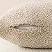 Foindtower Pack of 2, Curly Faux Fur Decorative Throw Pillow Covers Soft Plush Cushion Case with Zipper Cozy Fluffy Boho Pillowcase for Home Living Room Couch Bed Sofa 18 x 18 Inch, Light Beige