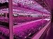 LED Grow Light, Relassy 300W Full Spectrum Plant Indoor Grow Lighting for Seedling/Veg/Blooming/Fruiting(338 LEDs)