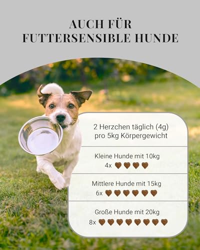 LEO LÖWENHERZ Leckerlis Grow & Dance - 370g - Funktionsleckerlis für Hunde - Gelenke - 100% Natur - Zuckerfrei - Futterergänzung - Made in Germany