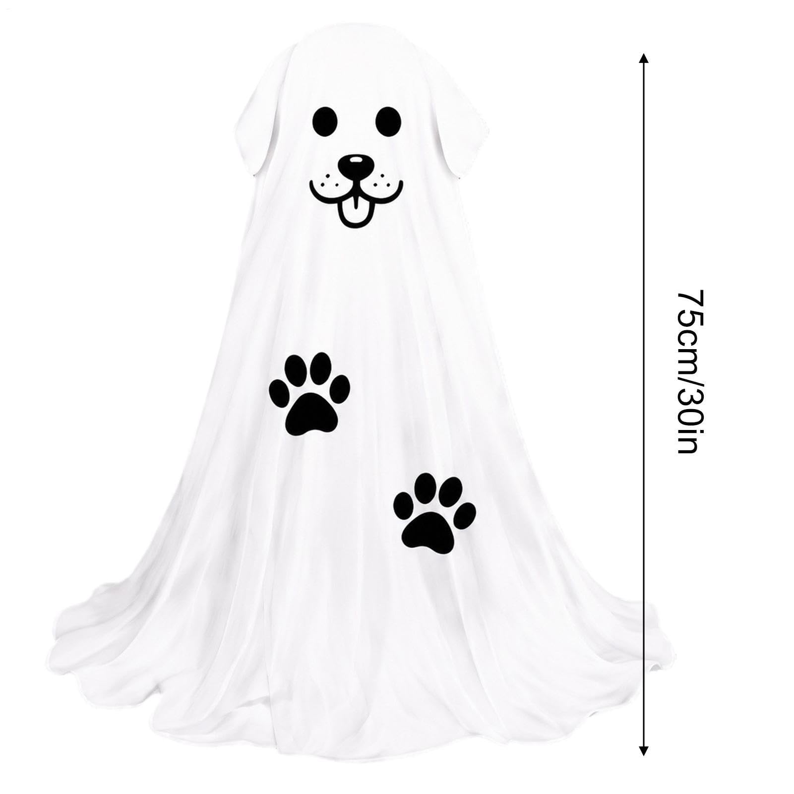 Decorazioni Da Giardino Di Halloween Ornamento LED Luminoso Alimentato A