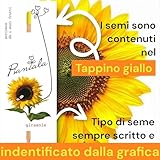 Generico B0BN8JGMHF lato 4