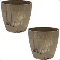 Vaso Cachepô Decorativo Bege Ideal para Orquídeas Polipropileno Resistente numero 2 Kit com 2 Unidades
