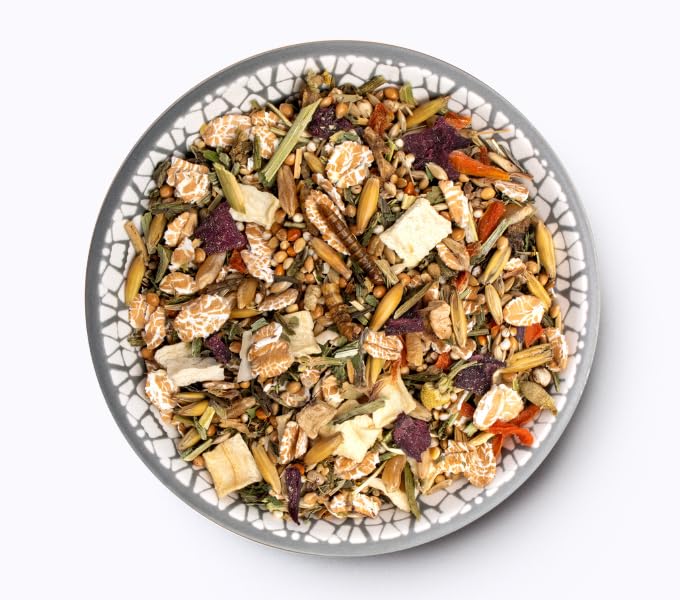 Bunny Nature RennmausTraum EXPERT | Doppelpack | 2 x 500 g | Alleinfuttermittel für Rennmäuse | Balancierte Long-Life-Rezeptur | Erlesene Zutaten aus der Heimat der Rennmäuse