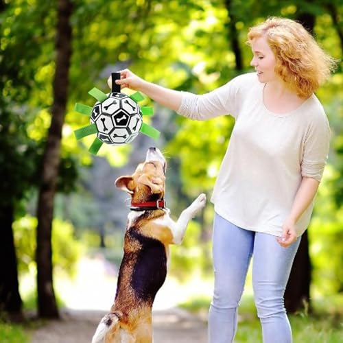 Jouet d'eau indestructible pour chiot et accessoire à mâcher