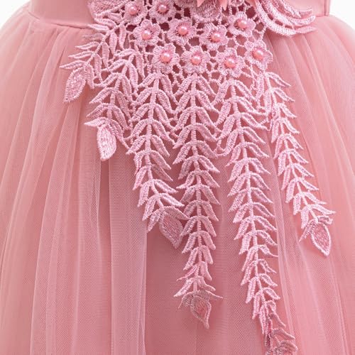Girls Flower Lace Tulle Dress Sleeveless Formal Princess Party Gown Elegant Birthday Wedding Outfit4