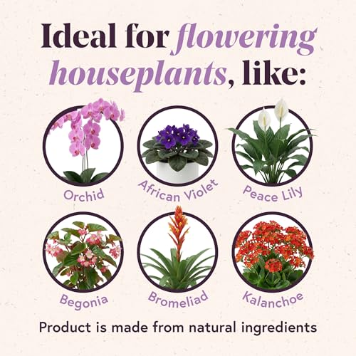 We the Wild Organic Bloom Pump and Go - Fertilizante Líquido 16.9 fl oz miniatura 5