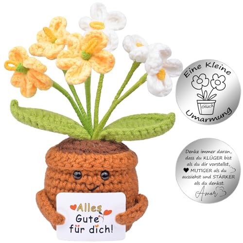 Mwmoeen Glücksbringer Geschenk Gestrickte Blumen, Pocket Hug Positive Strickwolle Blumen Puppe und Kleine Umarmung Glücksbringer, Mutmacher Gute Besserung Einschulung Geschenk Mwmoeen Glücksbringer Geschenk Gestrickte Blumen, Pocket Hug Positive Strickwolle Blumen Puppe und Kleine Umarmung Glücksbringer, Mutmacher Gute Besserung Einschulung Geschenk 
