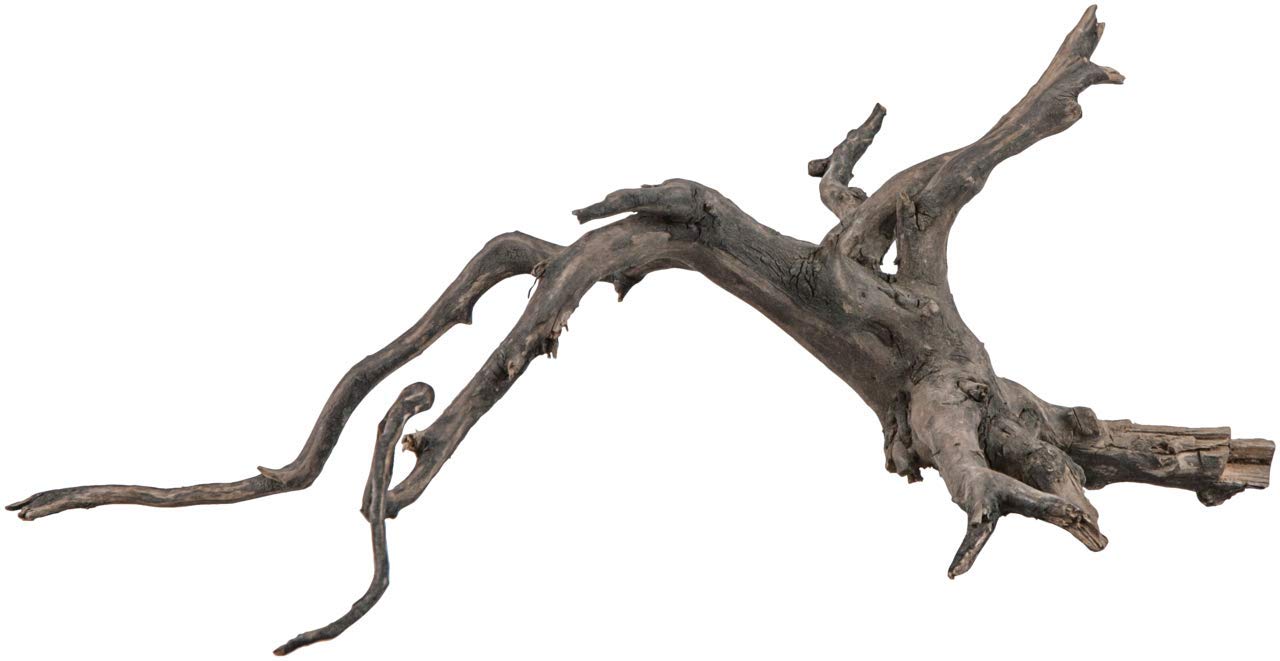 sera Scaper Root S 25-30 cm - Filigree Root in Three Different Sizes