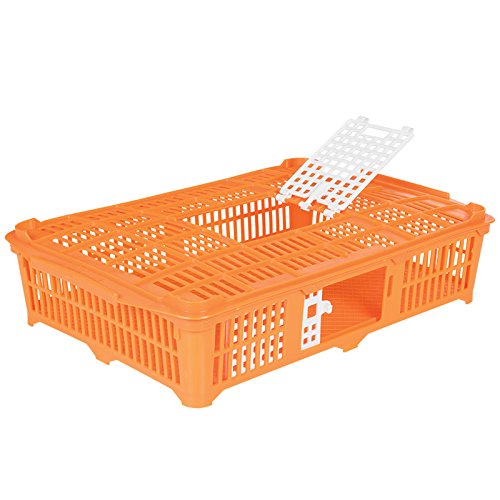 Premier 1 Quail Transport Crate - 26" L x 16" W x 5" H (Single)