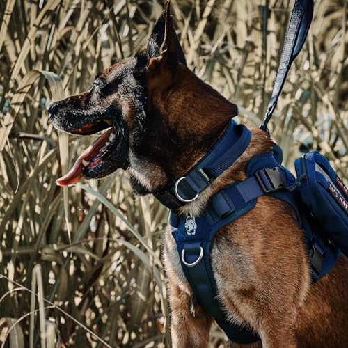 OneTigris Tactical Dog Collars with Handle,Military Dog Collar for Large Dog,Adjustable Nylon Collar German shepherd Collar with Heavy Duty Metal Buckle for Dog Training and Walking (M - Image 4