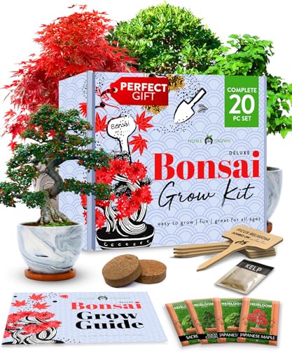HOME GROWN Bonsai Tree Kit - Premium Bonsai Tree Starter Kit - 4 Varieties of Bonsai Seeds: Japanese Maple, Sacred Fig, Japanese Privet, & Cotoneaster - Unique Gardening Gifts for Women